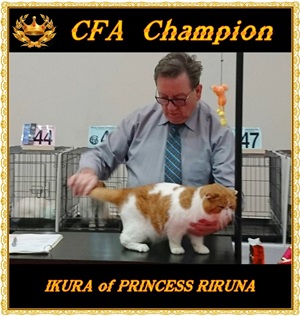 IMG_0556.JPG - 47,607BYTES