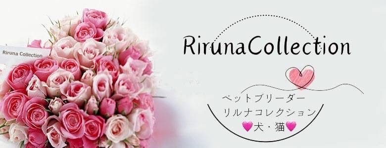 IMG_9575.JPEG - 67,833BYTES